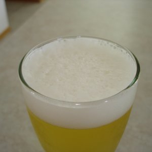 MillerLiteTripleHoppedwSorachiAce-Foam2