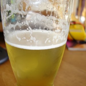 MillerLiteTripleHoppedwSorachiAce-Lace2