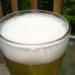 MillerLiteTripleHoppedwSorachiAce-Foam1