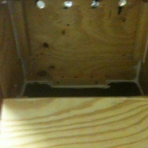 inside view of coffin box