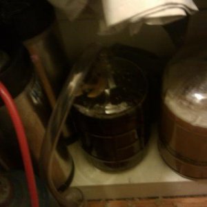 Fermentation area.... for now.