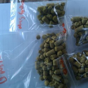 Some pellets for a few clones