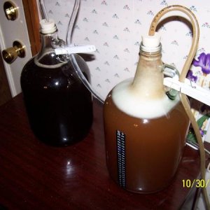 one gallon brews