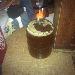 just introduced yeast