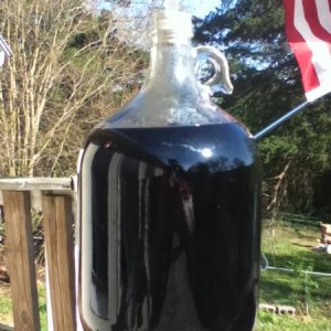 MyElderberryWine