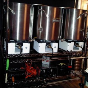 ready to brew