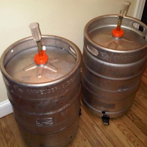 the fermenters