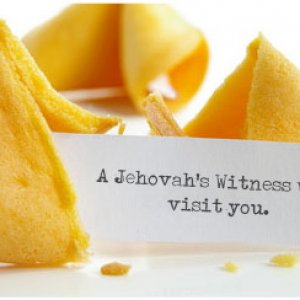 cookie   witness