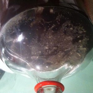 photo2