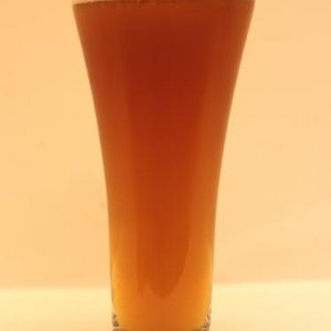 Honey Orange Wheat May 23