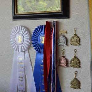 A few awards, two best of show.