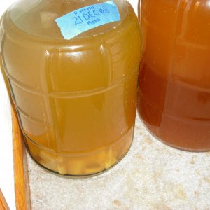 CIMG0294