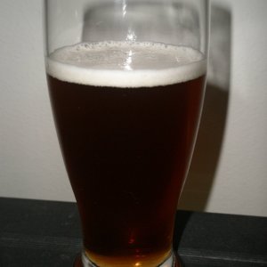 Shiner6