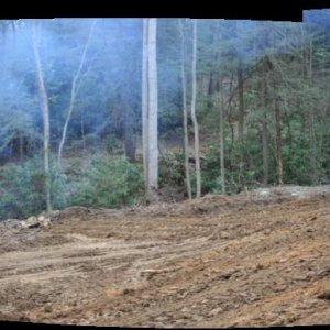 pano