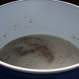Doughedinon10galofOrdinaryBittler
