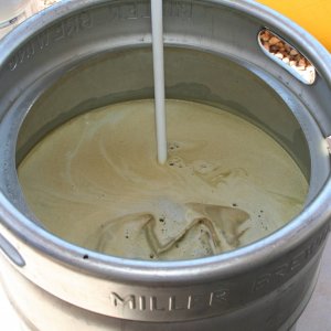 11galinthekettle