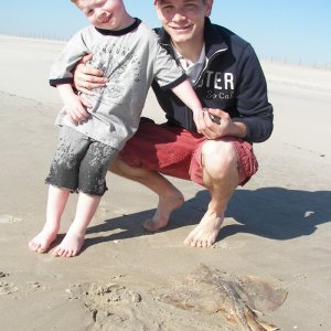 Me_Kamdyn_Stingray