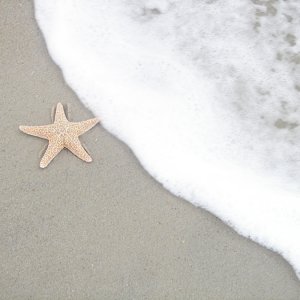 Starfish_and_Tide_2_RS