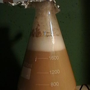 YeastStarterFermentation
