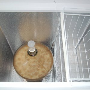 Finally_Temp-Controlled_Fermentation