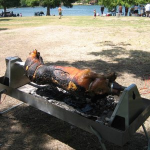WholePigfromtheZealots2009picnic