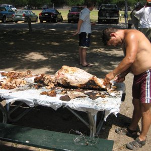 Pullingthepig