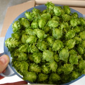 Bowlohops