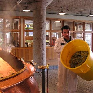 GuestBrewingAnchorSteamBrewery