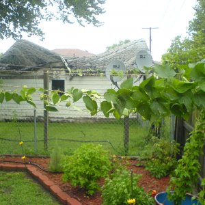 DSC00378