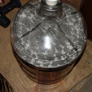 DSC01401