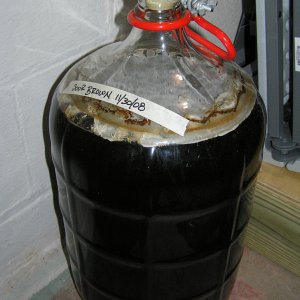 SourBrown-Pellicle