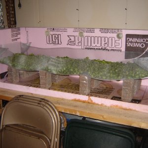 Fermenterturnedhopsdryer
