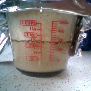 Yeast1