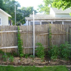House_2009_00000