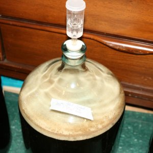 Activefermentation