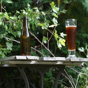 BelgianDubbel-PicturePerfect