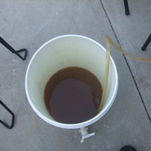 10gallonbrewdaypics