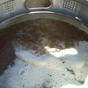 10gallonbrewdaypics