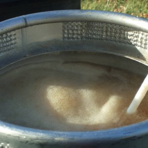 10gallonbrewdaypics