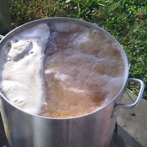 theboil