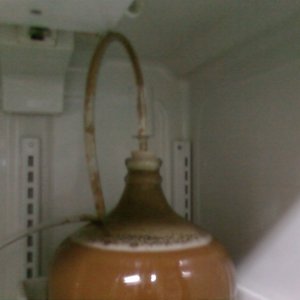Photo0084