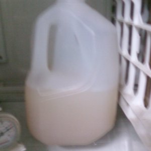 Blowoffjug