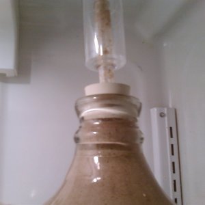 Photo0090