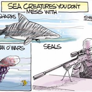 NavySeals