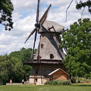 WindmillinSummer