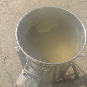 Singelboiling