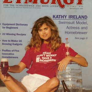 KathyIrelandCover