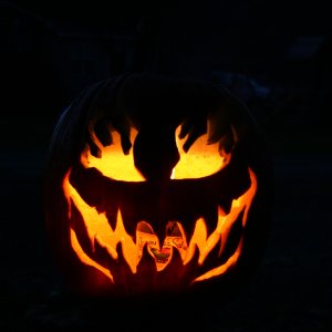 fall_08_009