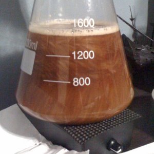 photo26