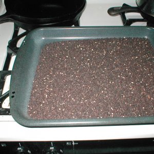 roastedbuckwheatgroats